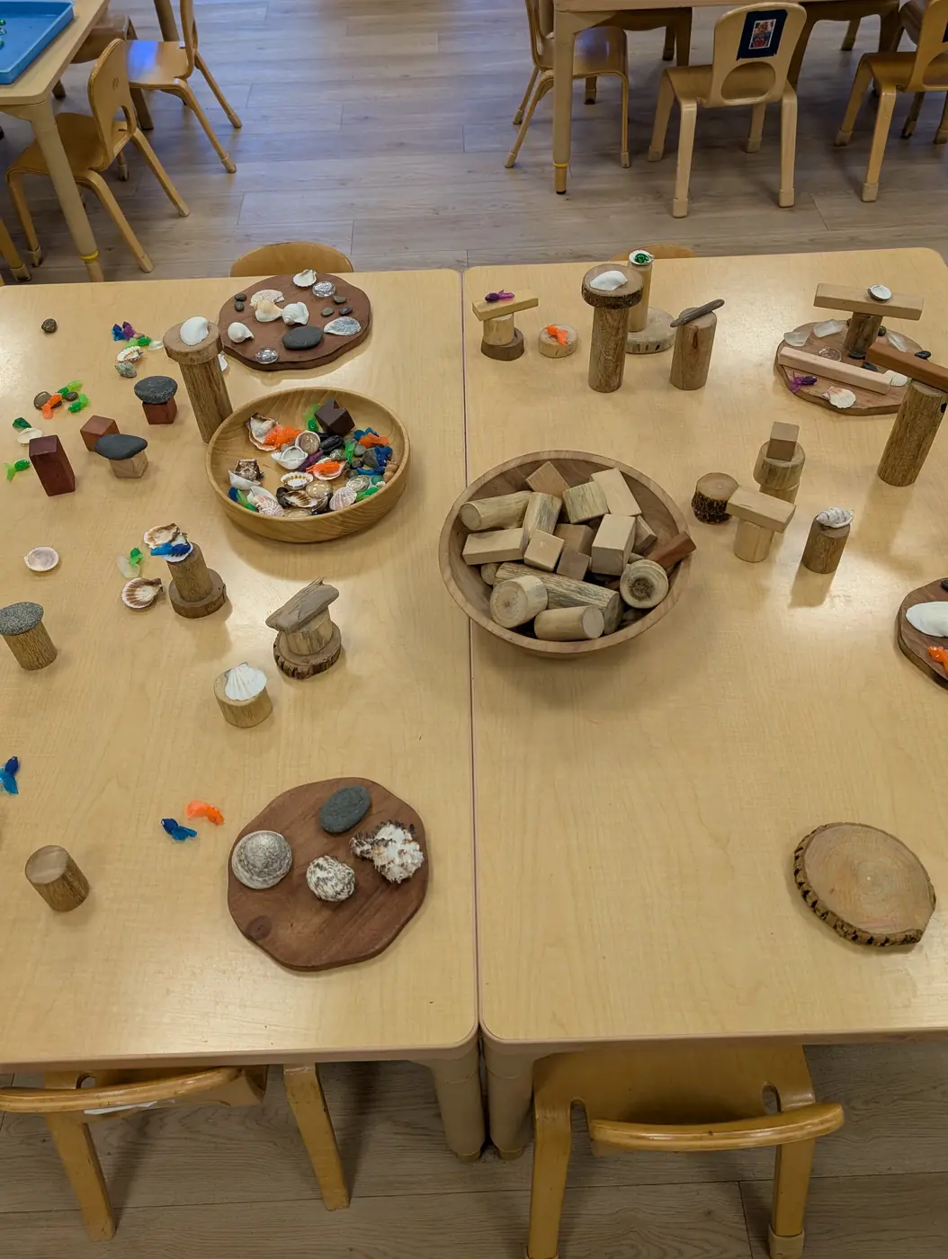 A nature and loose-parts table with shells and sea glass at Blossom Station