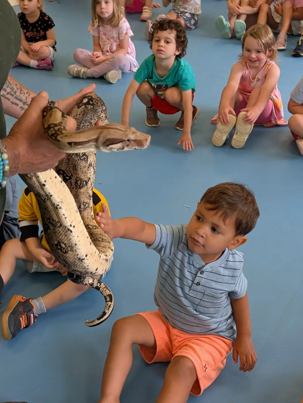 Children meeting a live snake at the summer animal show at Blossom Station