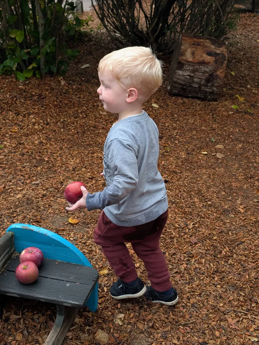 A toddler holding an apple beside the wooden play boat, where more apples wait on the seat
